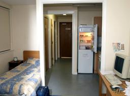 Room in 3BR, $550/mo, Two Cool Roommates + Derek