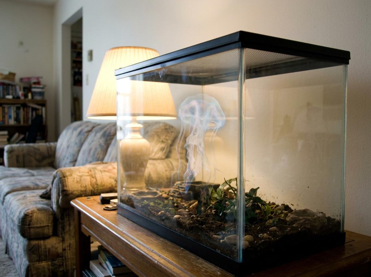 Rehoming my specimen, he's friendly, just don't look directly at him