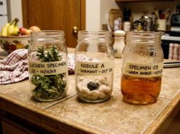 Three jarred specimens, labels intact, from estate sale